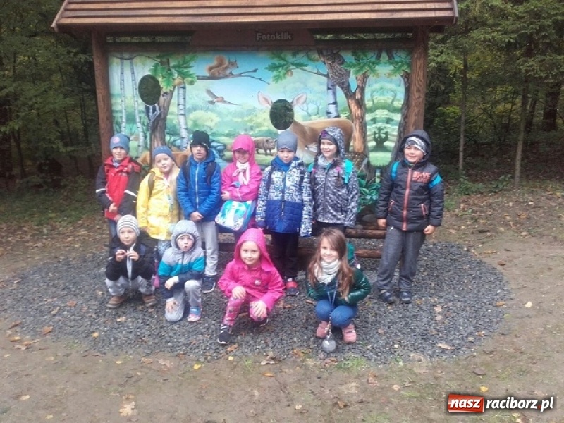 Zdjęcie w galerii na portalu naszraciborz.pl: Jesienna wyprawa do lasu uczniów z ZSP nr 4 wiadomości z regionu