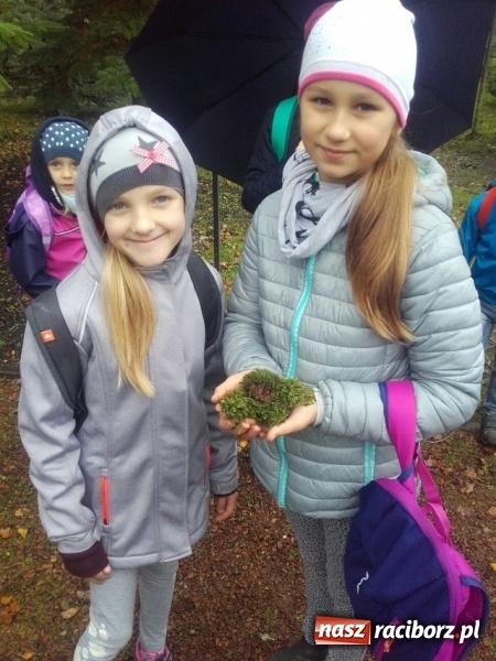 Zdjęcie w galerii na portalu naszraciborz.pl: Jesienna wyprawa do lasu uczniów z ZSP nr 4 wiadomości z regionu
