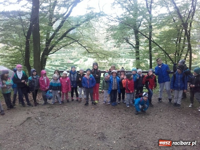 Zdjęcie w galerii na portalu naszraciborz.pl: Jesienna wyprawa do lasu uczniów z ZSP nr 4 wiadomości z regionu