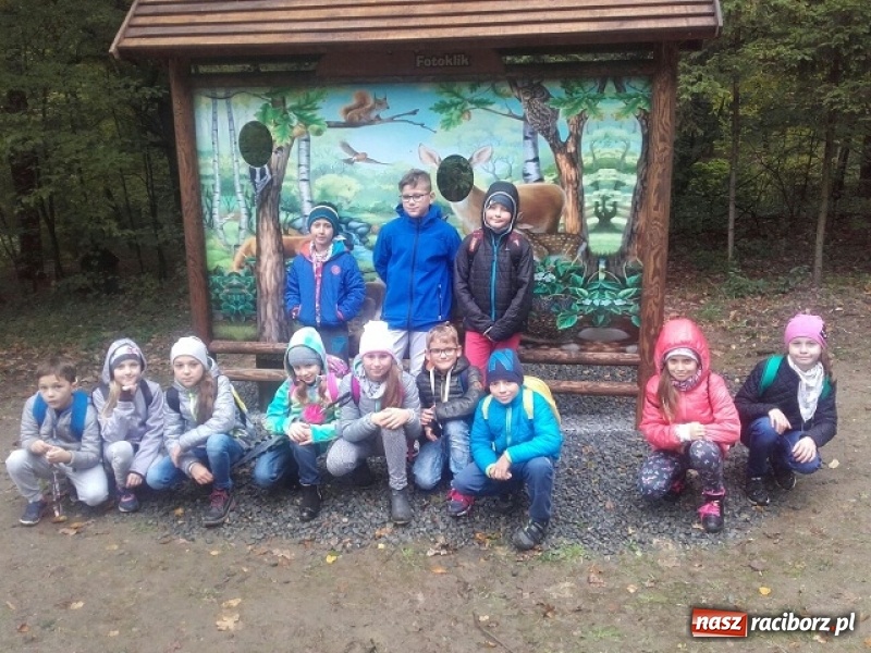 Zdjęcie w galerii na portalu naszraciborz.pl: Jesienna wyprawa do lasu uczniów z ZSP nr 4 wiadomości z regionu