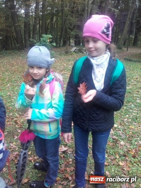 Zdjęcie w galerii na portalu naszraciborz.pl: Jesienna wyprawa do lasu uczniów z ZSP nr 4 wiadomości z regionu