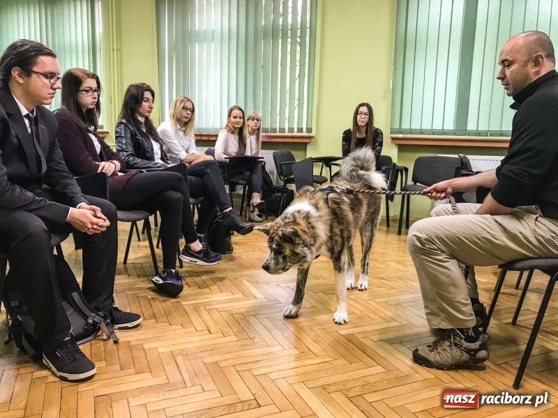 Zdjęcie w galerii na portalu naszraciborz.pl: Hachi'ko na zajęciach w raciborskiej PWSZ  wiadomości z regionu