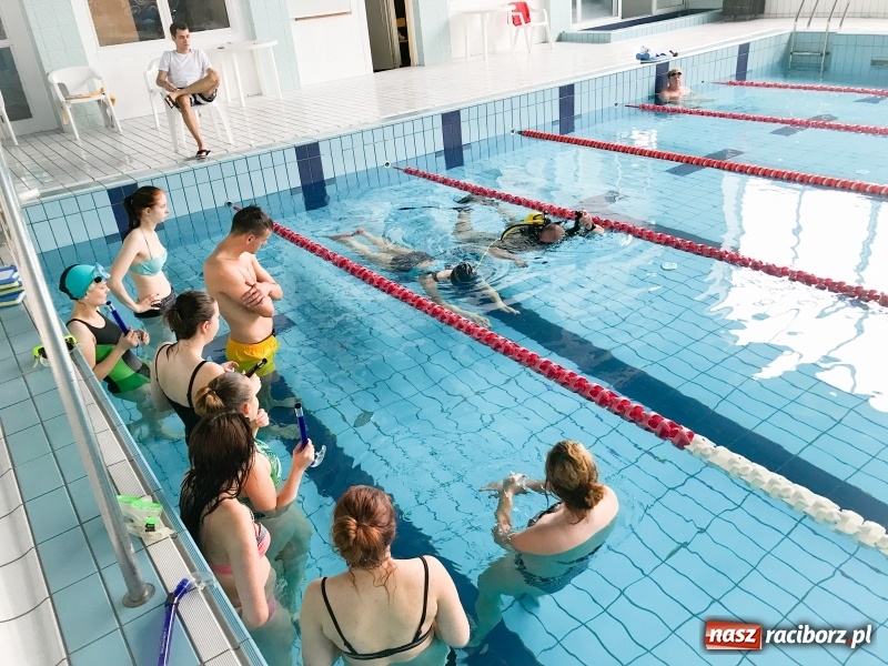 Zdjęcie w galerii na portalu naszraciborz.pl: Hachi'ko na zajęciach w raciborskiej PWSZ  wiadomości z regionu