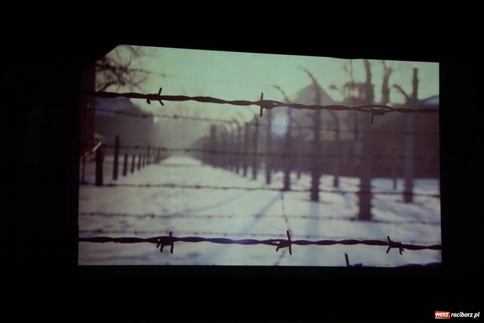 Zdjęcie w galerii na portalu naszraciborz.pl: Raciborska premiera KINDERLAGER POGRZEBIN  wiadomości z regionu