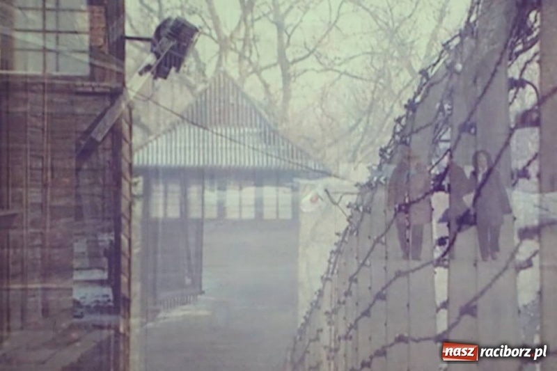 Zdjęcie w galerii na portalu naszraciborz.pl: Raciborska premiera KINDERLAGER POGRZEBIN  wiadomości z regionu