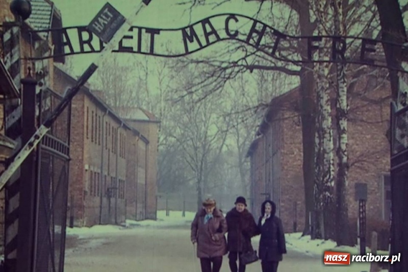 Zdjęcie w galerii na portalu naszraciborz.pl: Raciborska premiera KINDERLAGER POGRZEBIN  wiadomości z regionu