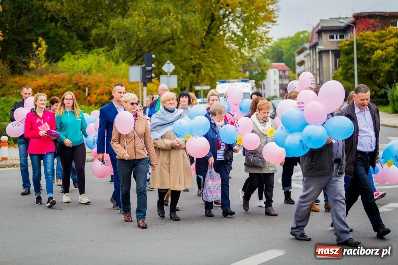 Zdjęcie w galerii na portalu naszraciborz.pl: XVIII Marsz Nadziei. Raciborzanie solidarni z osobami dotkniętymi nowotworem FOTO i WIDEO wiadomości z regionu