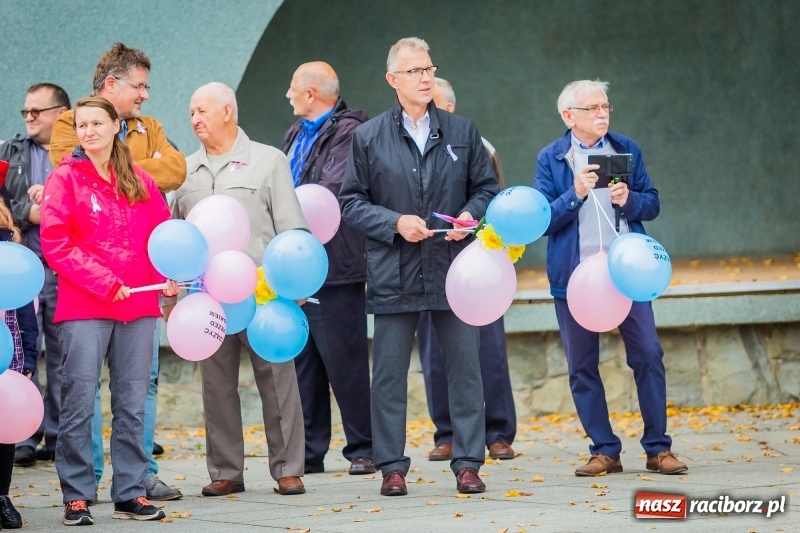 Zdjęcie w galerii na portalu naszraciborz.pl: XVIII Marsz Nadziei. Raciborzanie solidarni z osobami dotkniętymi nowotworem FOTO i WIDEO wiadomości z regionu