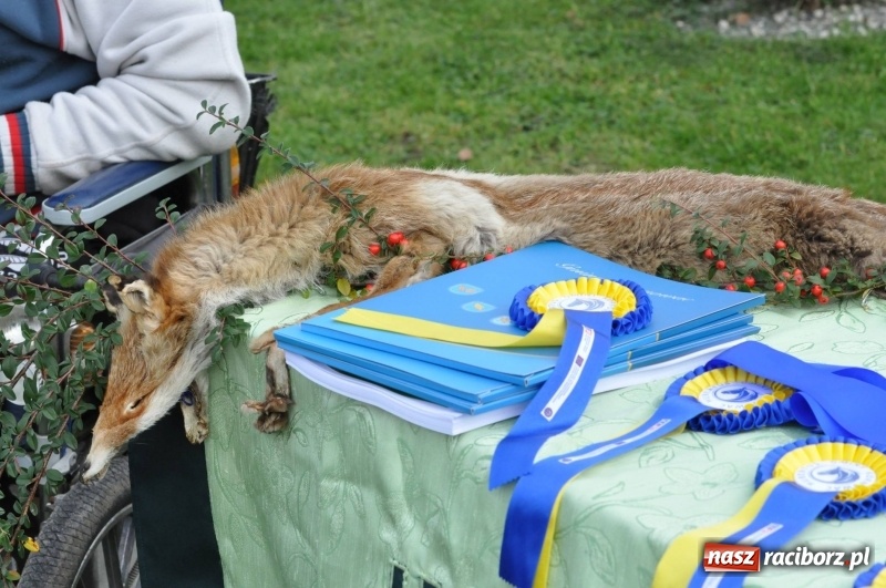 Zdjęcie w galerii na portalu naszraciborz.pl: Kornowacki polsko-czeski Hubertus 2017 WIDEO wiadomości z regionu