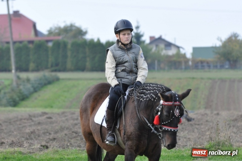 Zdjęcie w galerii na portalu naszraciborz.pl: Kornowacki polsko-czeski Hubertus 2017 WIDEO wiadomości z regionu
