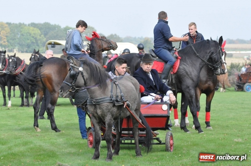 Zdjęcie w galerii na portalu naszraciborz.pl: Kornowacki polsko-czeski Hubertus 2017 WIDEO wiadomości z regionu