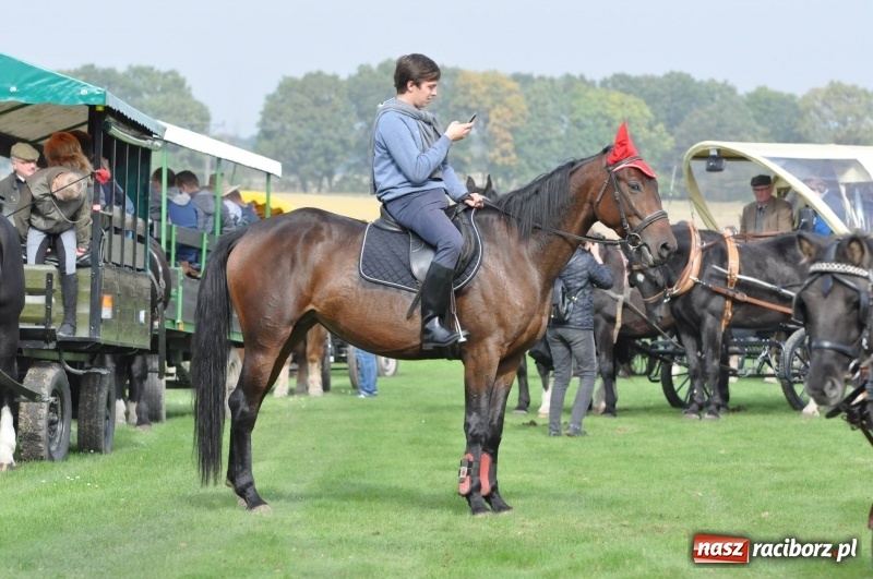Zdjęcie w galerii na portalu naszraciborz.pl: Kornowacki polsko-czeski Hubertus 2017 WIDEO wiadomości z regionu