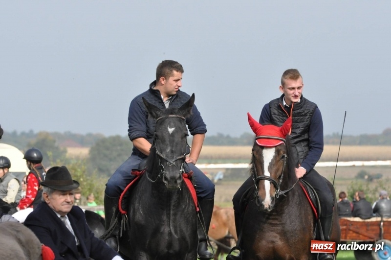 Zdjęcie w galerii na portalu naszraciborz.pl: Kornowacki polsko-czeski Hubertus 2017 WIDEO wiadomości z regionu