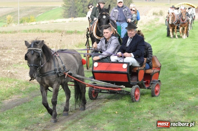 Zdjęcie w galerii na portalu naszraciborz.pl: Kornowacki polsko-czeski Hubertus 2017 WIDEO wiadomości z regionu
