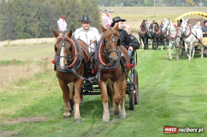 Zdjęcie w galerii na portalu naszraciborz.pl: Kornowacki polsko-czeski Hubertus 2017 WIDEO wiadomości z regionu