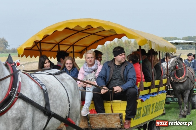 Zdjęcie w galerii na portalu naszraciborz.pl: Kornowacki polsko-czeski Hubertus 2017 WIDEO wiadomości z regionu