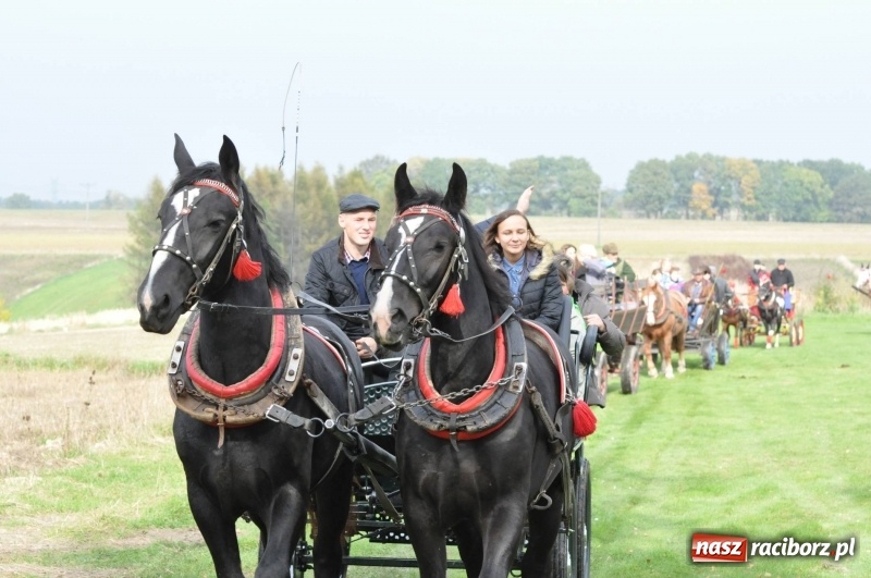 Zdjęcie w galerii na portalu naszraciborz.pl: Kornowacki polsko-czeski Hubertus 2017 WIDEO wiadomości z regionu