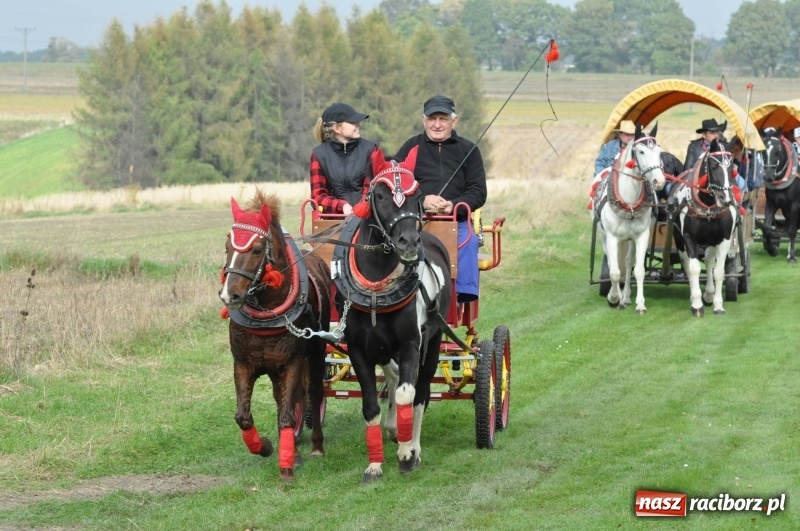 Zdjęcie w galerii na portalu naszraciborz.pl: Kornowacki polsko-czeski Hubertus 2017 WIDEO wiadomości z regionu