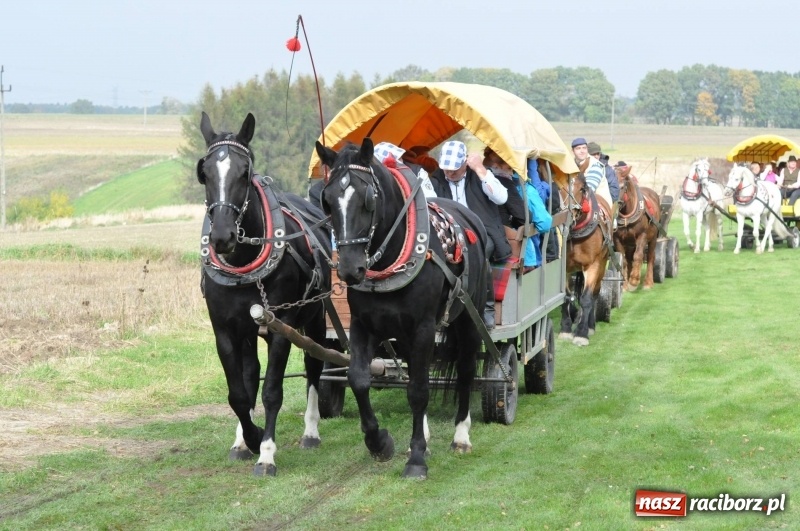 Zdjęcie w galerii na portalu naszraciborz.pl: Kornowacki polsko-czeski Hubertus 2017 WIDEO wiadomości z regionu