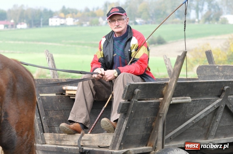 Zdjęcie w galerii na portalu naszraciborz.pl: Kornowacki polsko-czeski Hubertus 2017 WIDEO wiadomości z regionu