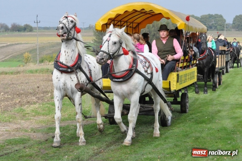 Zdjęcie w galerii na portalu naszraciborz.pl: Kornowacki polsko-czeski Hubertus 2017 WIDEO wiadomości z regionu