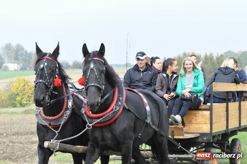 Zdjęcie w galerii na portalu naszraciborz.pl: Kornowacki polsko-czeski Hubertus 2017 WIDEO wiadomości z regionu