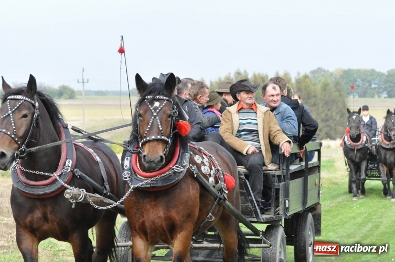 Zdjęcie w galerii na portalu naszraciborz.pl: Kornowacki polsko-czeski Hubertus 2017 WIDEO wiadomości z regionu