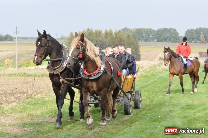 Zdjęcie w galerii na portalu naszraciborz.pl: Kornowacki polsko-czeski Hubertus 2017 WIDEO wiadomości z regionu