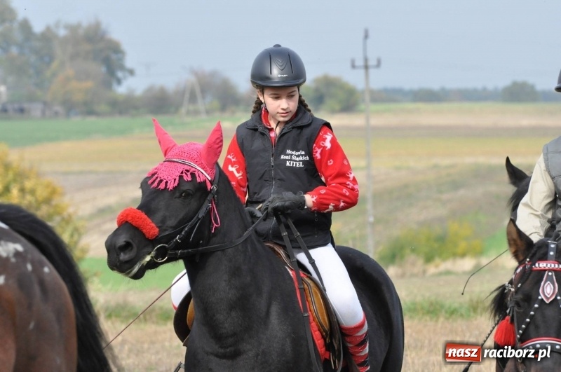 Zdjęcie w galerii na portalu naszraciborz.pl: Kornowacki polsko-czeski Hubertus 2017 WIDEO wiadomości z regionu