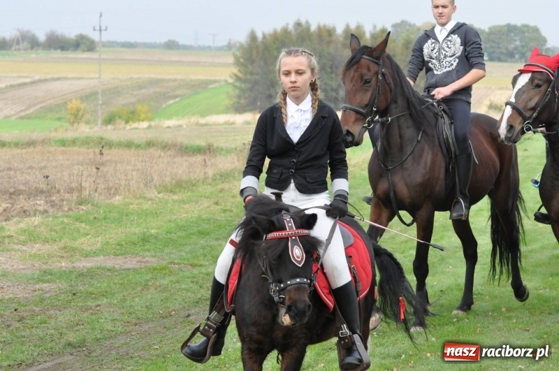 Zdjęcie w galerii na portalu naszraciborz.pl: Kornowacki polsko-czeski Hubertus 2017 WIDEO wiadomości z regionu