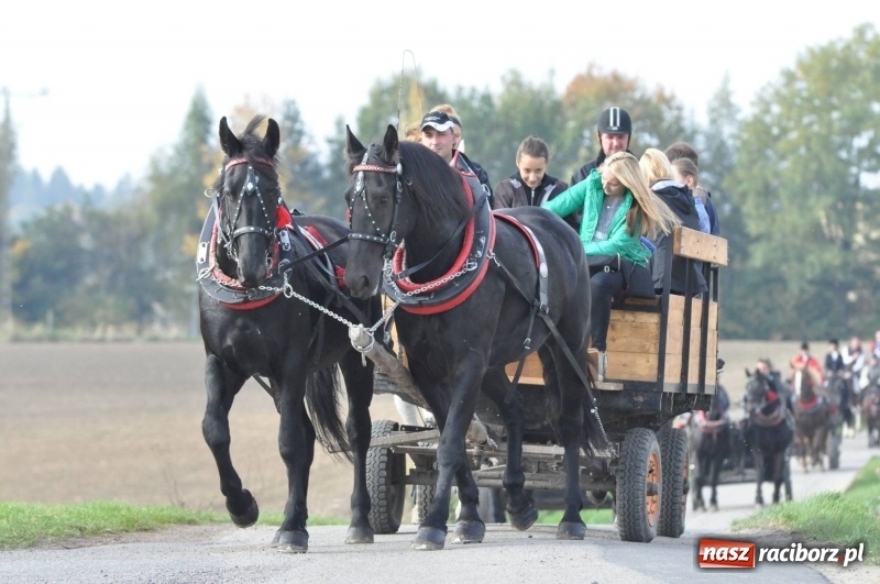Zdjęcie w galerii na portalu naszraciborz.pl: Kornowacki polsko-czeski Hubertus 2017 WIDEO wiadomości z regionu