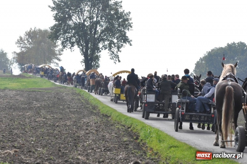 Zdjęcie w galerii na portalu naszraciborz.pl: Kornowacki polsko-czeski Hubertus 2017 WIDEO wiadomości z regionu