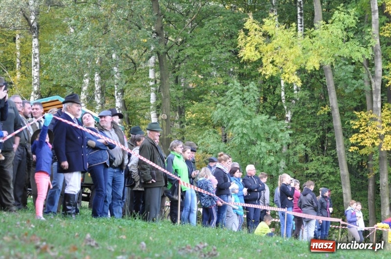 Zdjęcie w galerii na portalu naszraciborz.pl: Kornowacki Hubertus 2017 - Adam Bugdol z lisią kitą FOTO i WIDEO wiadomości z regionu
