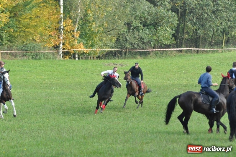 Zdjęcie w galerii na portalu naszraciborz.pl: Kornowacki Hubertus 2017 - Adam Bugdol z lisią kitą FOTO i WIDEO wiadomości z regionu