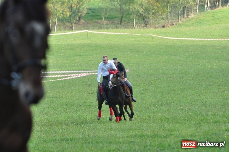 Zdjęcie w galerii na portalu naszraciborz.pl: Kornowacki Hubertus 2017 - Adam Bugdol z lisią kitą FOTO i WIDEO wiadomości z regionu