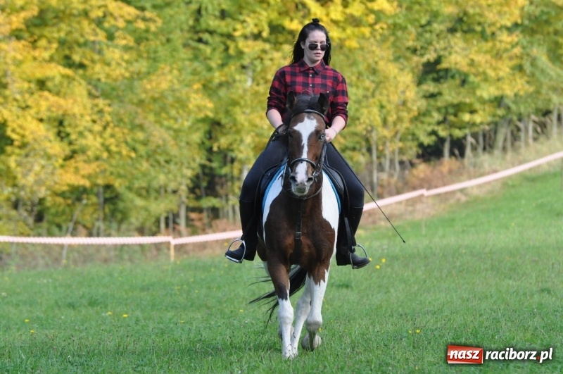 Zdjęcie w galerii na portalu naszraciborz.pl: Kornowacki Hubertus 2017 - Adam Bugdol z lisią kitą FOTO i WIDEO wiadomości z regionu