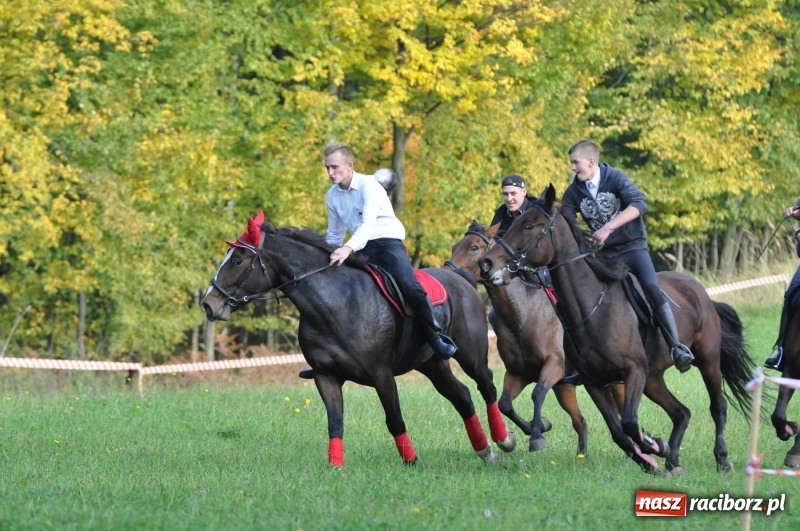 Zdjęcie w galerii na portalu naszraciborz.pl: Kornowacki Hubertus 2017 - Adam Bugdol z lisią kitą FOTO i WIDEO wiadomości z regionu