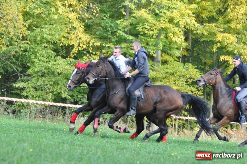 Zdjęcie w galerii na portalu naszraciborz.pl: Kornowacki Hubertus 2017 - Adam Bugdol z lisią kitą FOTO i WIDEO wiadomości z regionu