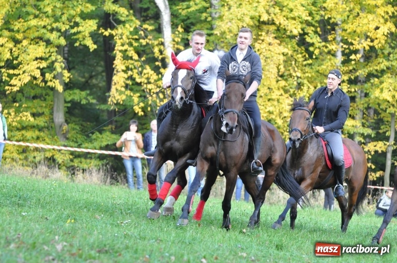 Zdjęcie w galerii na portalu naszraciborz.pl: Kornowacki Hubertus 2017 - Adam Bugdol z lisią kitą FOTO i WIDEO wiadomości z regionu