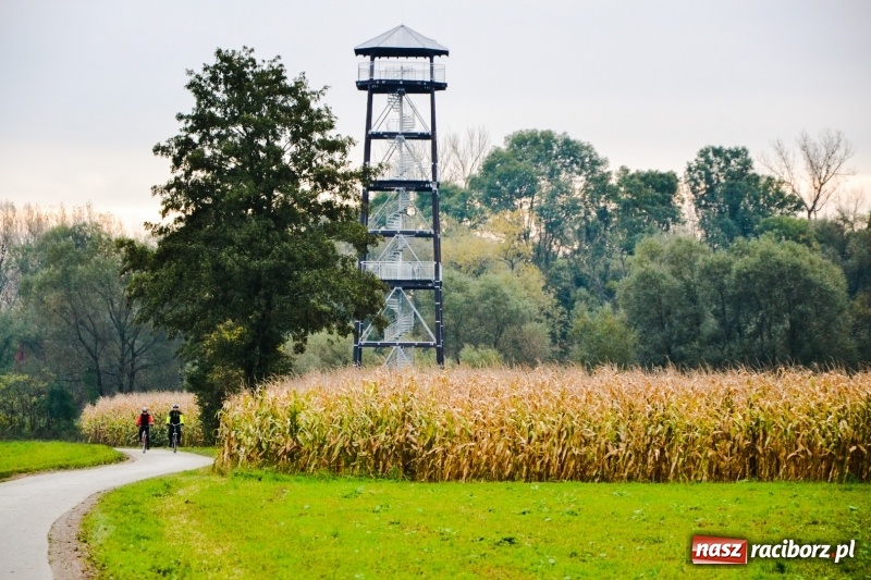 Zdjęcie w galerii na portalu naszraciborz.pl: W Chałupkach oddano do użytku wieżę widokową. Ma ponad 27 metrów wysokości  wiadomości z regionu