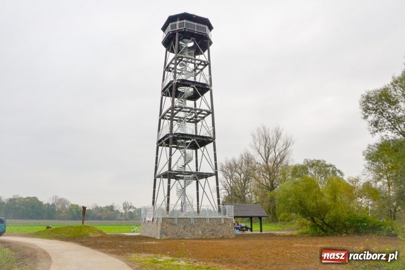 Zdjęcie w galerii na portalu naszraciborz.pl: W Chałupkach oddano do użytku wieżę widokową. Ma ponad 27 metrów wysokości  wiadomości z regionu