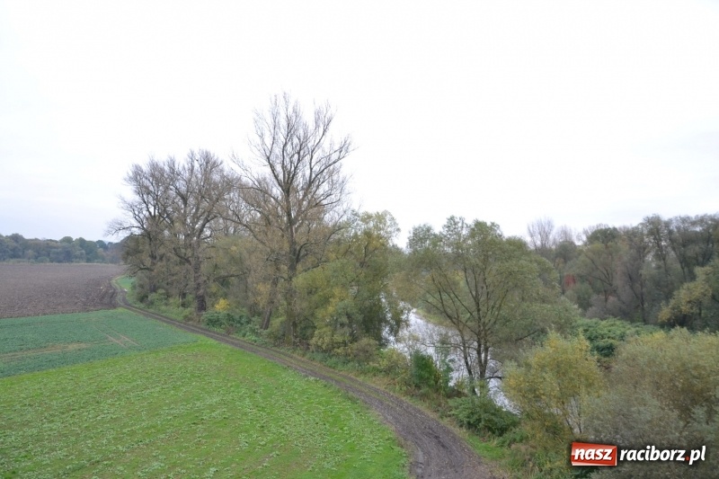 Zdjęcie w galerii na portalu naszraciborz.pl: W Chałupkach oddano do użytku wieżę widokową. Ma ponad 27 metrów wysokości  wiadomości z regionu