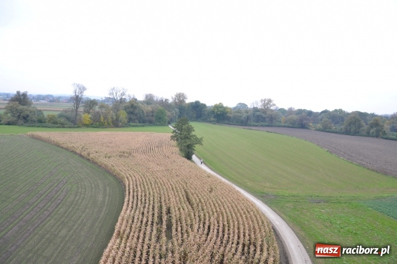 Zdjęcie w galerii na portalu naszraciborz.pl: W Chałupkach oddano do użytku wieżę widokową. Ma ponad 27 metrów wysokości  wiadomości z regionu