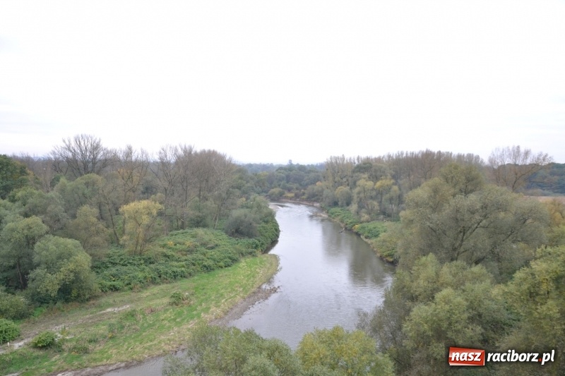 Zdjęcie w galerii na portalu naszraciborz.pl: W Chałupkach oddano do użytku wieżę widokową. Ma ponad 27 metrów wysokości  wiadomości z regionu