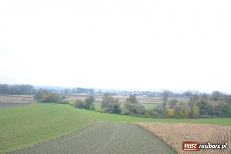 Zdjęcie w galerii na portalu naszraciborz.pl: W Chałupkach oddano do użytku wieżę widokową. Ma ponad 27 metrów wysokości  wiadomości z regionu