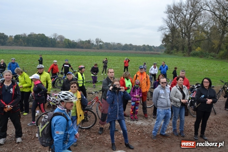 Zdjęcie w galerii na portalu naszraciborz.pl: W Chałupkach oddano do użytku wieżę widokową. Ma ponad 27 metrów wysokości  wiadomości z regionu