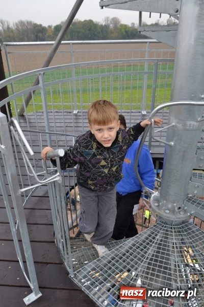 Zdjęcie w galerii na portalu naszraciborz.pl: W Chałupkach oddano do użytku wieżę widokową. Ma ponad 27 metrów wysokości  wiadomości z regionu