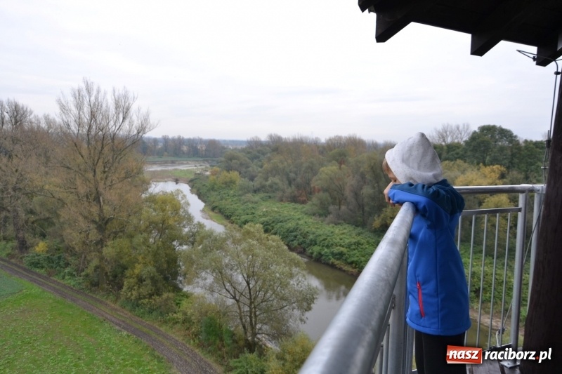 Zdjęcie w galerii na portalu naszraciborz.pl: W Chałupkach oddano do użytku wieżę widokową. Ma ponad 27 metrów wysokości  wiadomości z regionu