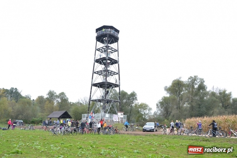 Zdjęcie w galerii na portalu naszraciborz.pl: W Chałupkach oddano do użytku wieżę widokową. Ma ponad 27 metrów wysokości  wiadomości z regionu