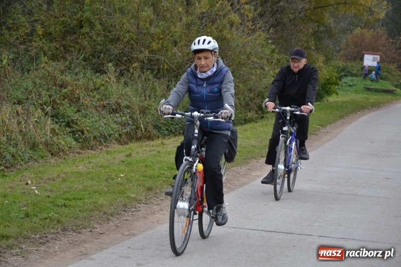 Zdjęcie w galerii na portalu naszraciborz.pl: Rowerowy rajd gwiaździsty na zakończenie sezonu  wiadomości z regionu